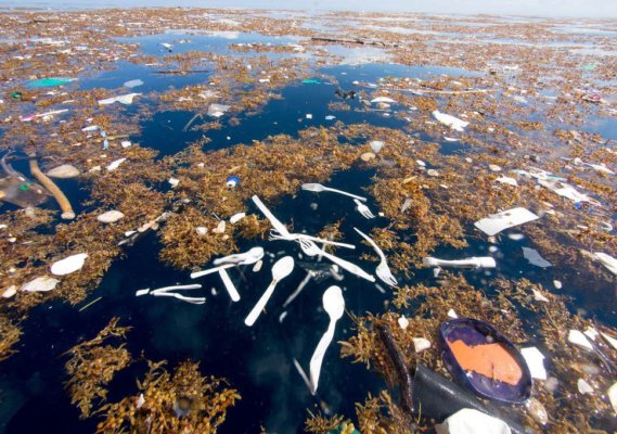 Say NO to plastic cutlery 