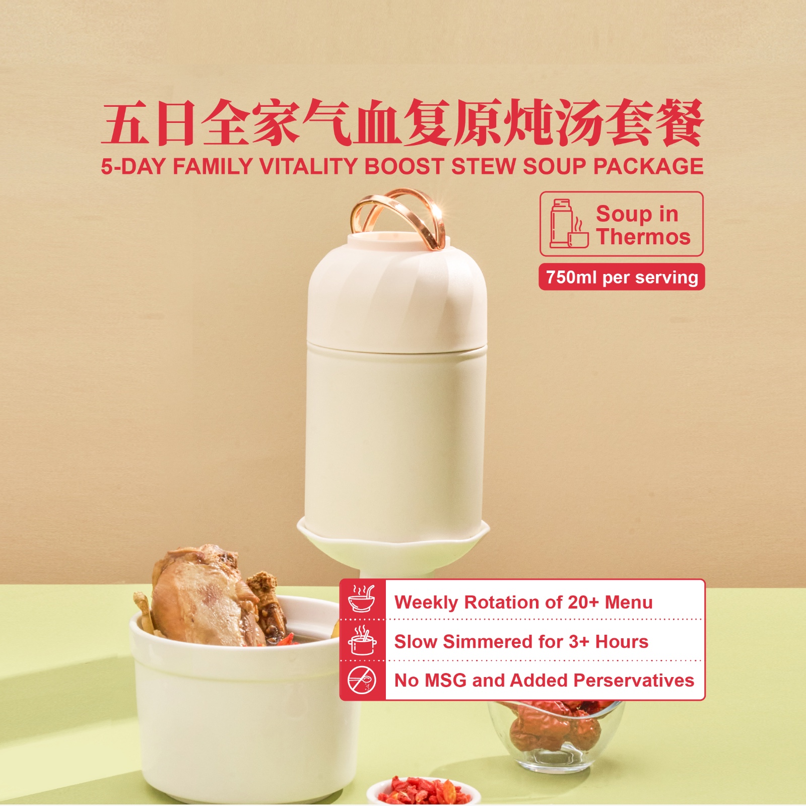 5 day family vitality boost stew soup package [standard container]